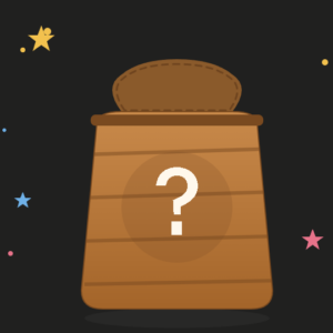 Mystery Bag